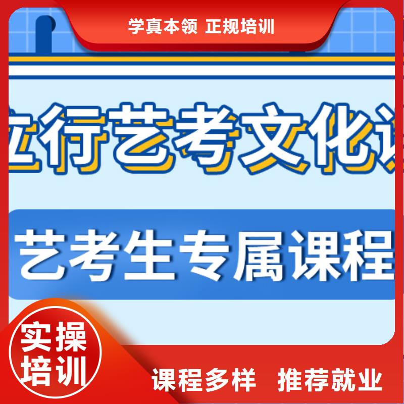 艺术生文化课高考补习学校学真技术