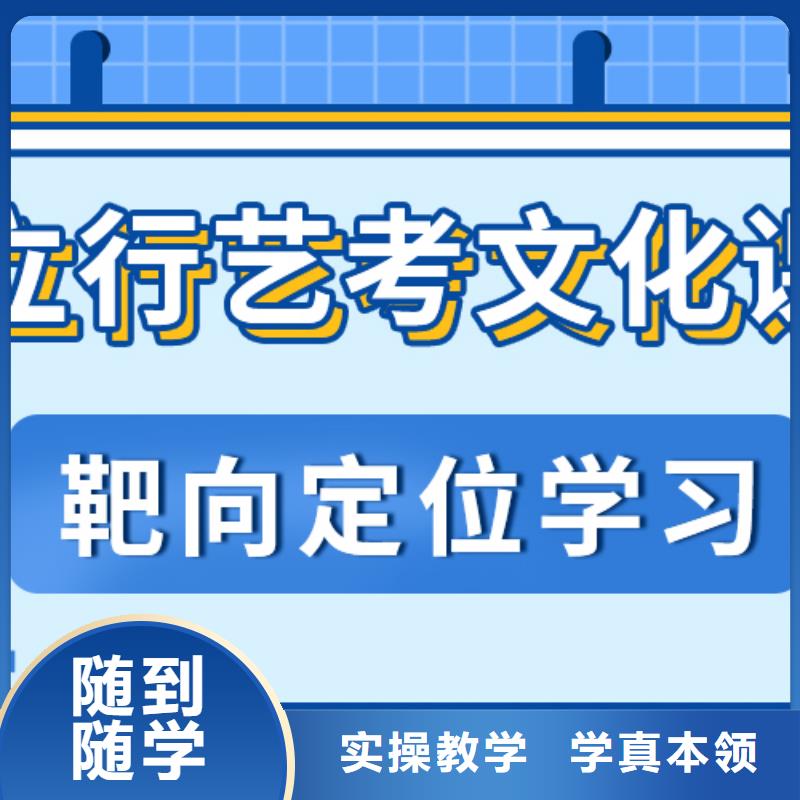 艺术生文化课艺考文化课冲刺技能+学历