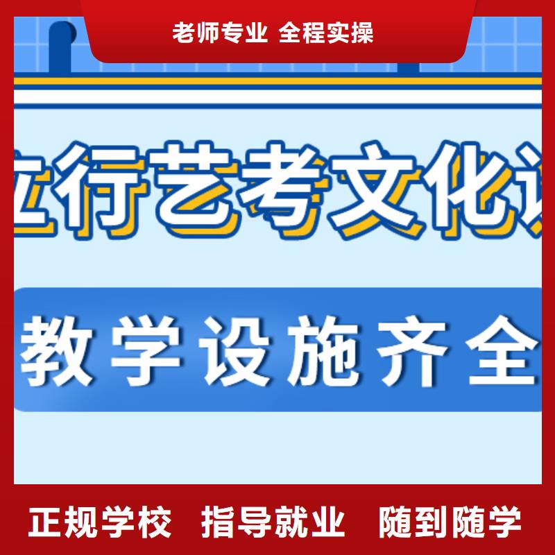 艺术生文化课艺考文化课冲刺技能+学历