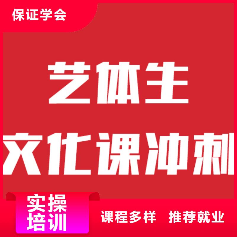 艺考文化课艺术生文化补习学真技术