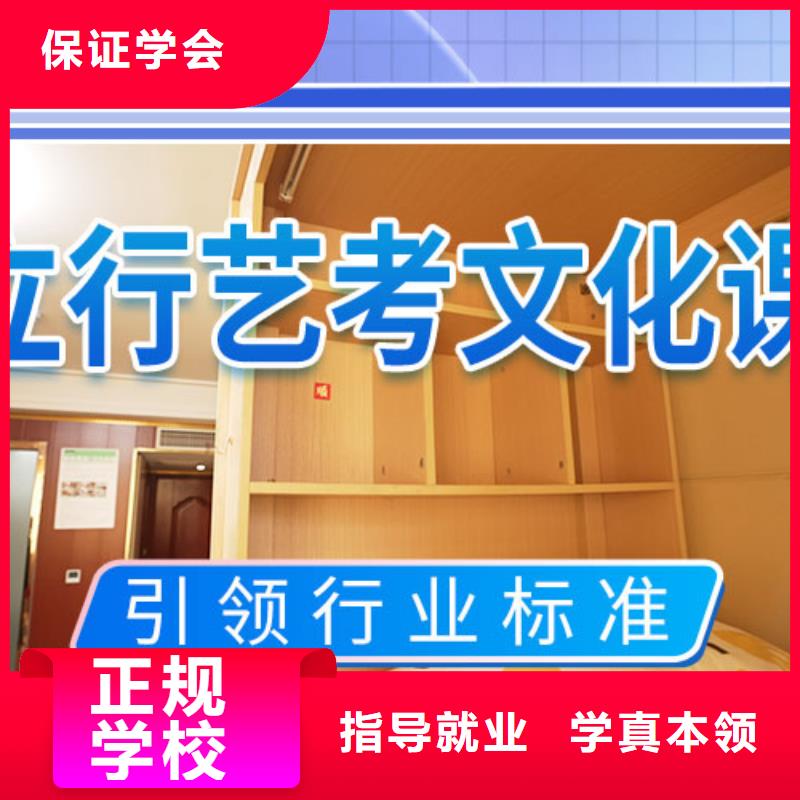 艺考文化课集训-【高三复读辅导】理论+实操