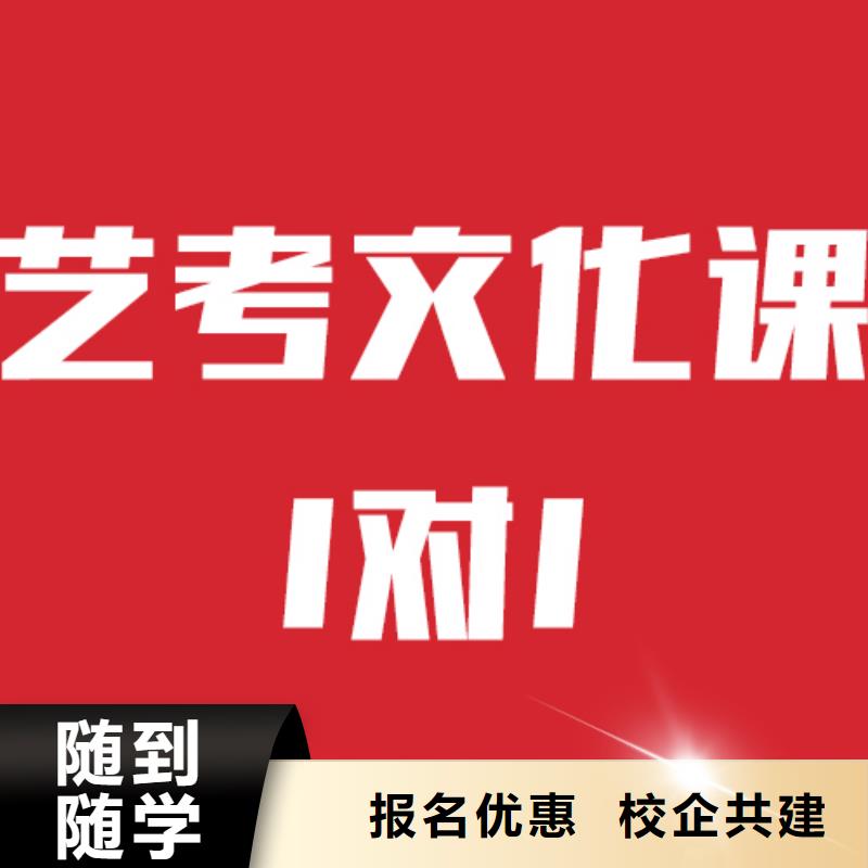 艺考文化课培训高考复读周日班理论+实操