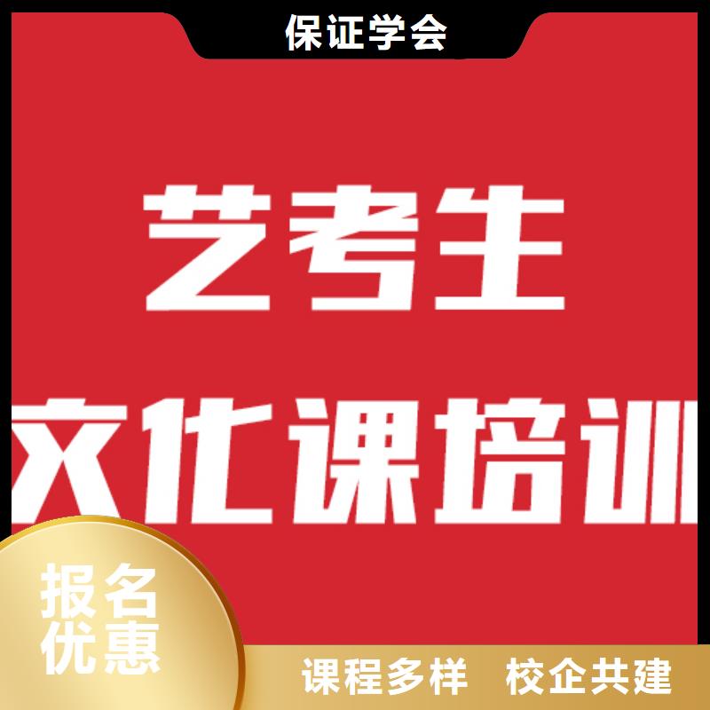 艺考文化课培训艺考一对一教学指导就业