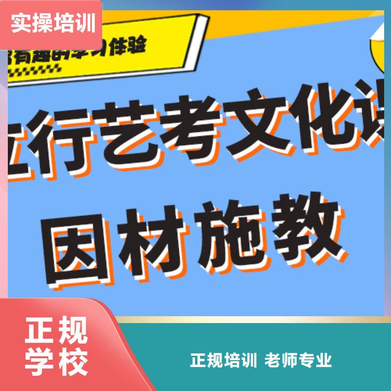 艺考生文化课-美术生文化课培训实操培训