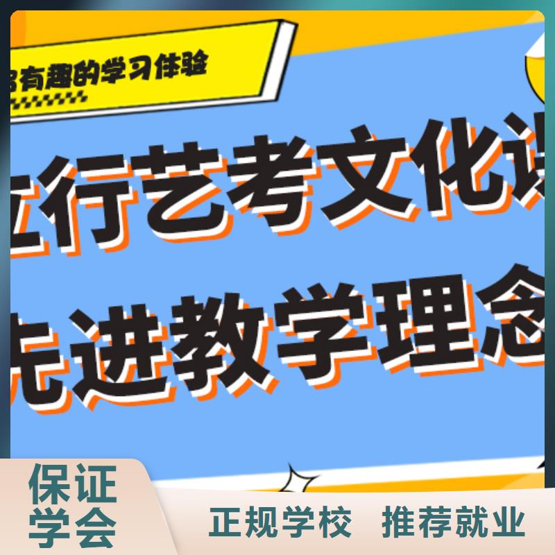 艺考生文化课-美术生文化课培训实操培训