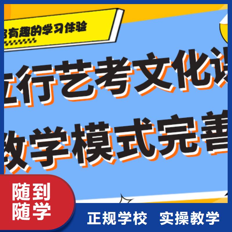 艺考生文化课【艺考培训机构】老师专业