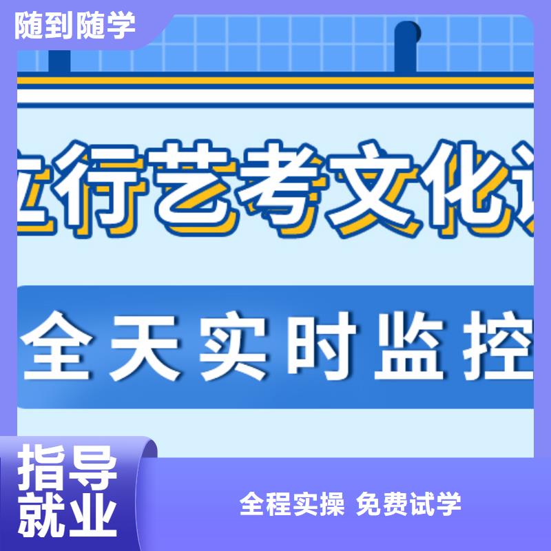 艺考生文化课,【编导文化课培训】理论+实操