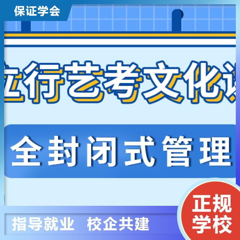 艺考生文化课-美术生文化课培训实操培训