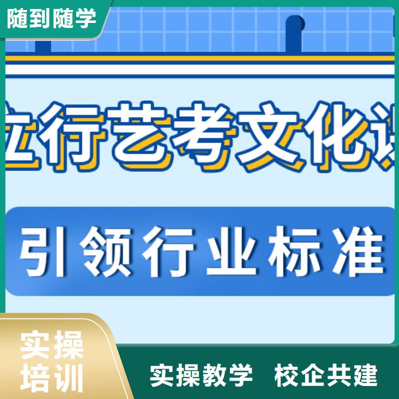 艺考生文化课-【【艺考培训机构】】学真技术