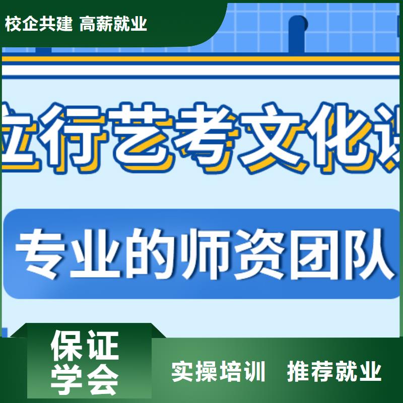 艺考生文化课高考辅导机构老师专业