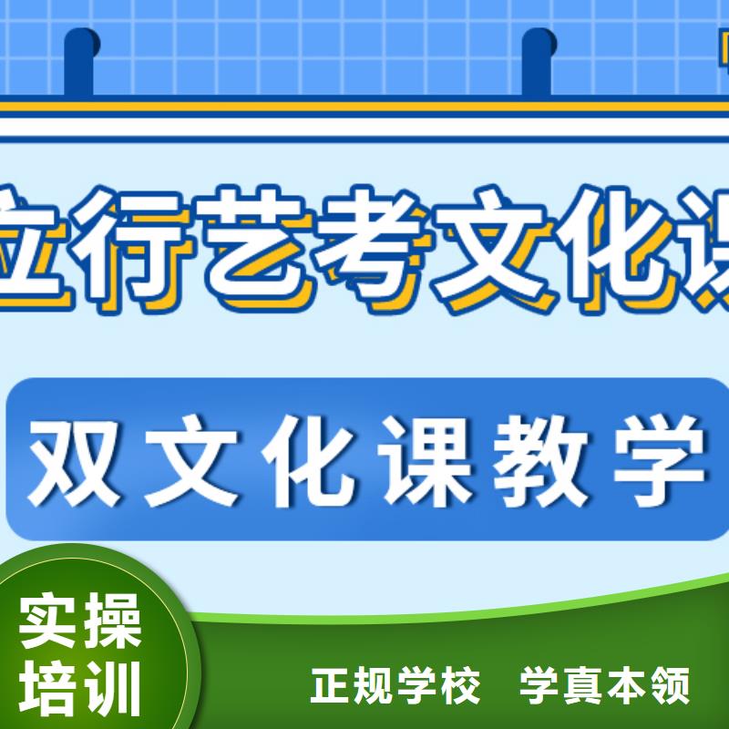 艺考文化课艺术学校老师专业