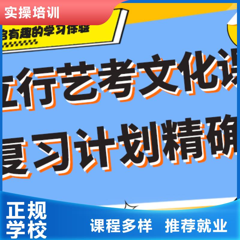 艺考文化课艺术学校老师专业