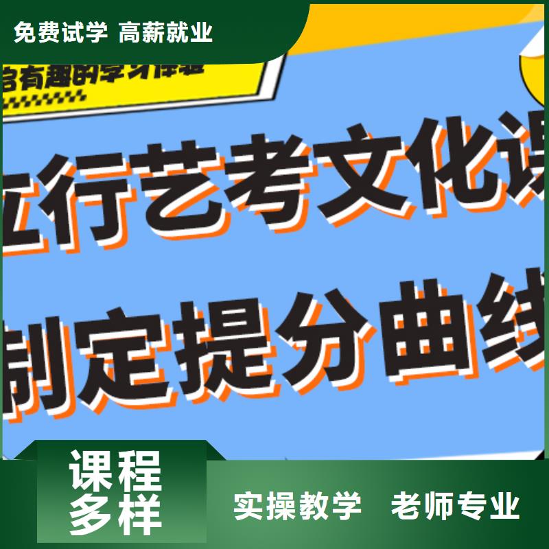 【艺考文化课艺考复读清北班实操培训】