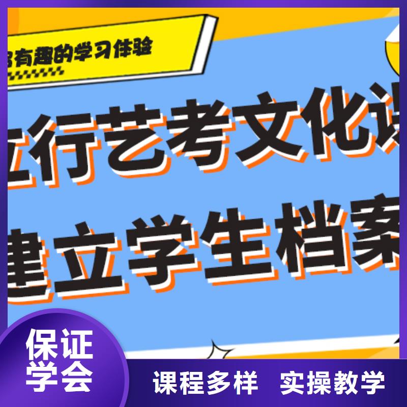 艺考生文化课冲刺艺考复读清北班师资力量强