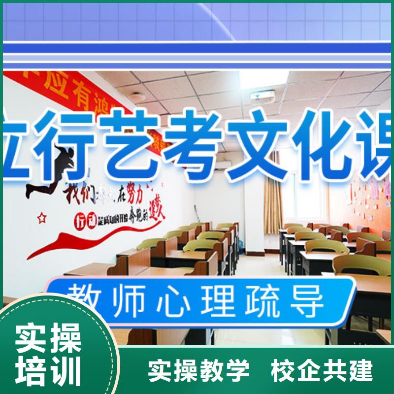 【艺考文化课辅导】_高考补习学校学真本领