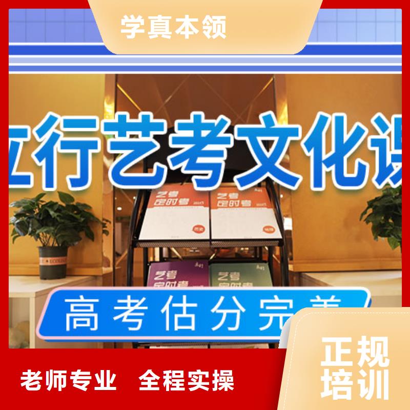 艺考文化课补习高三集训老师专业