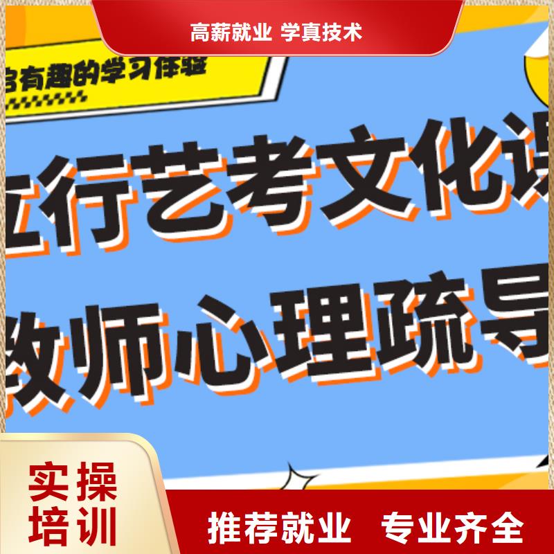 艺考生文化课辅导集训一览表艺考生文化课专用教材