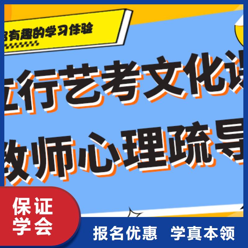 艺术生文化课补习学校哪里好艺考生文化课专用教材