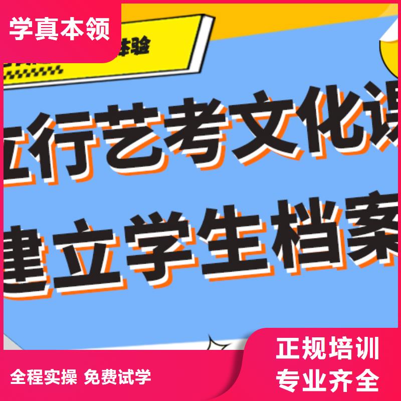 艺术生文化课培训补习哪个好定制专属课程