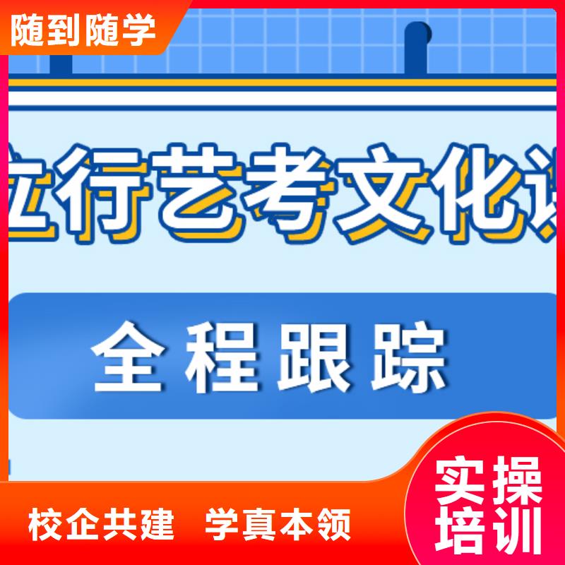 艺术生文化课补习机构好不好艺考生文化课专用教材