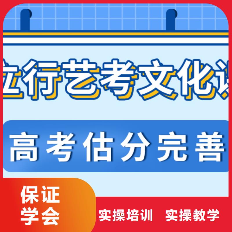 艺术生文化课培训学校价格定制专属课程