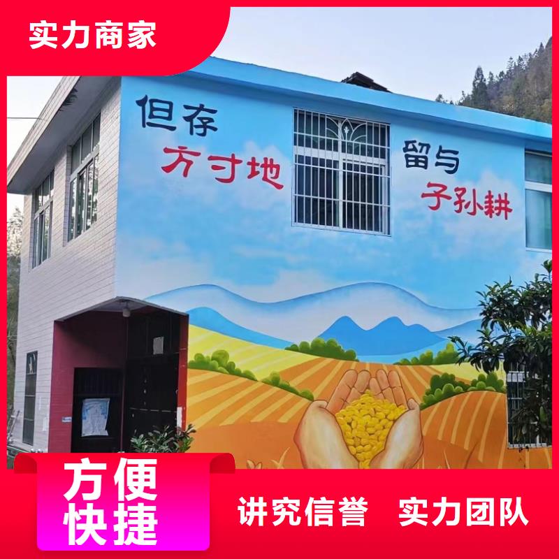 儋州市乡村振兴墙绘手绘墙壁画专业公司