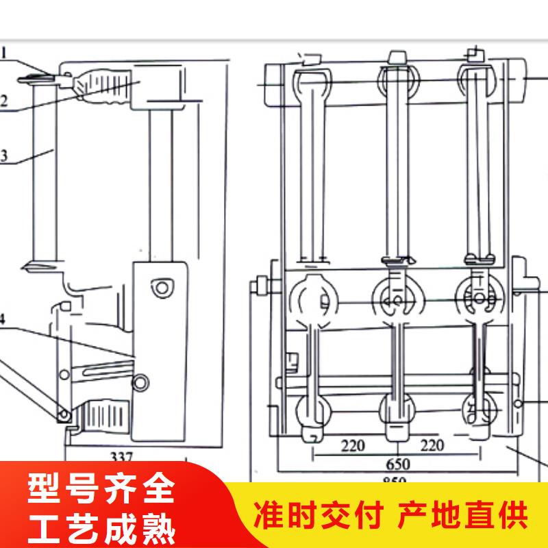 FKN-12R/200高压负荷开关