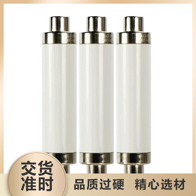 XRNP-24KV/3.15A限流熔断管樊高