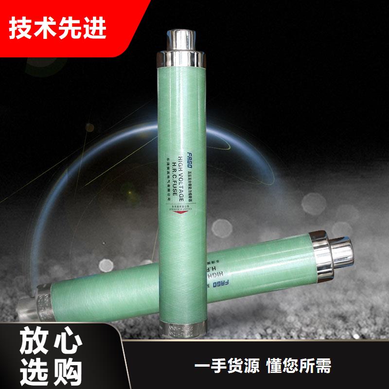 BRW-10/60A双管限流熔断器