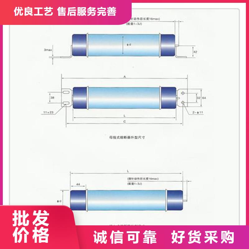 XRNP-10KV/3.15A高压PT熔管