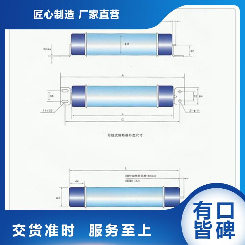 XRNT-40.5/50A高压PT熔管