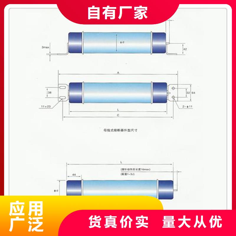 WFNHO-6/250A限流熔断管樊高