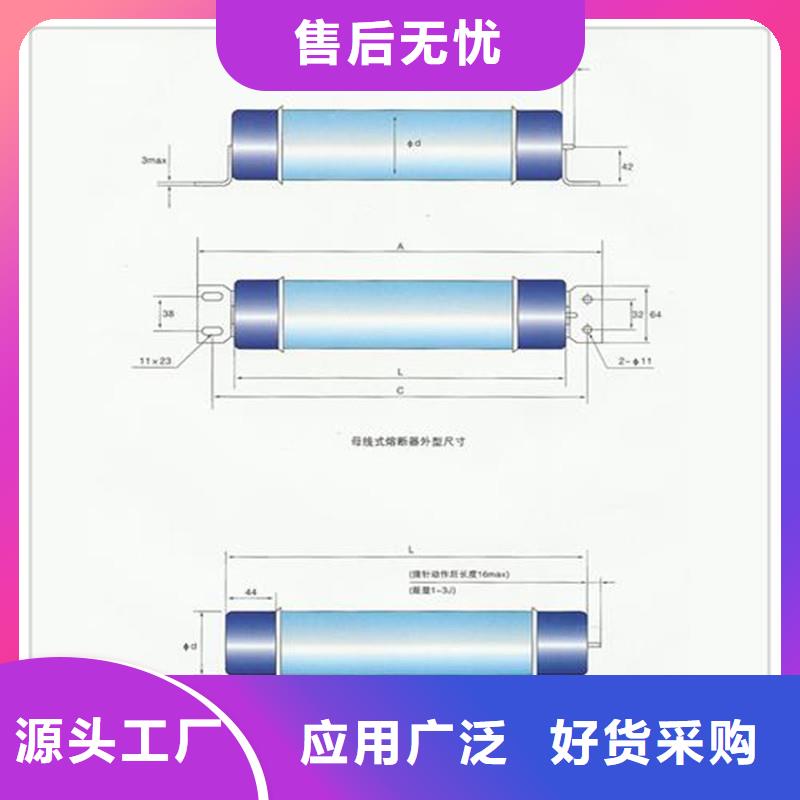 RN3-6/100高压限流熔断器