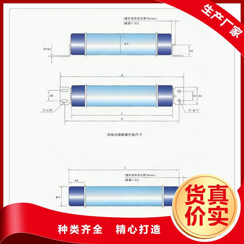 XRNP-35/3.15A高压PT熔管