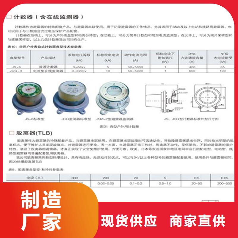 JSY-85避雷器计数器