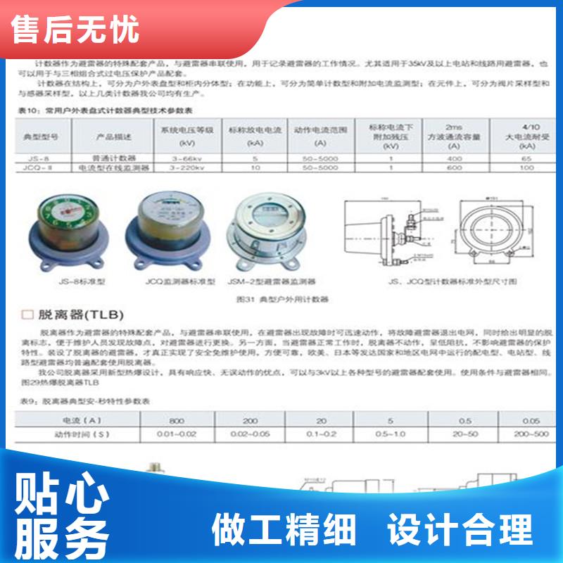 计数器_【氧化锌避雷器生产厂家】高性价比