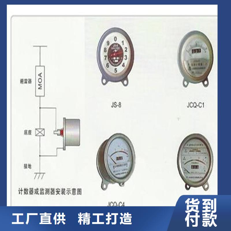 JL-110/800在线检测仪