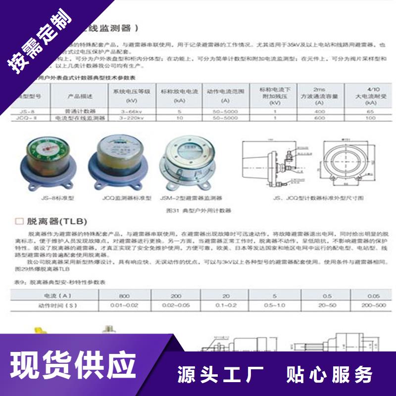 JSY-10/800避雷器放电计数器特征