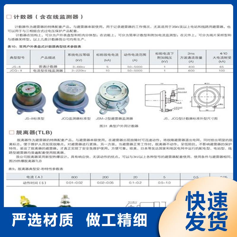 JCK-10/800在线监测器图片