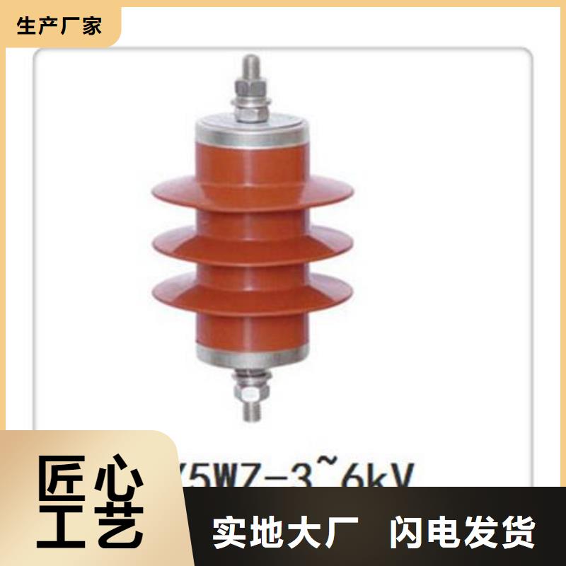 Y10W1-192/500GW陶瓷避雷器