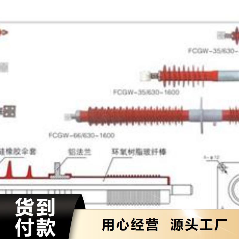 CWB-40.5/3000A陶瓷套管