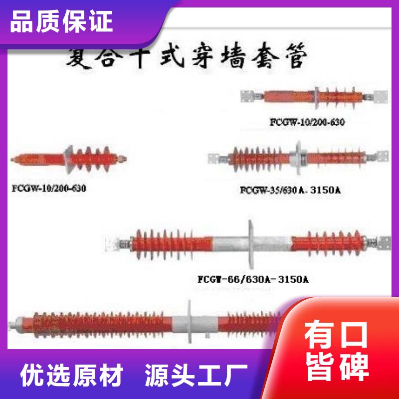 CWWB-10/2000A-4陶瓷穿墙套管樊高