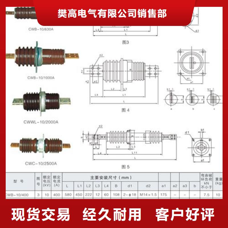 CMWD1-20/4000A陶瓷套管樊高