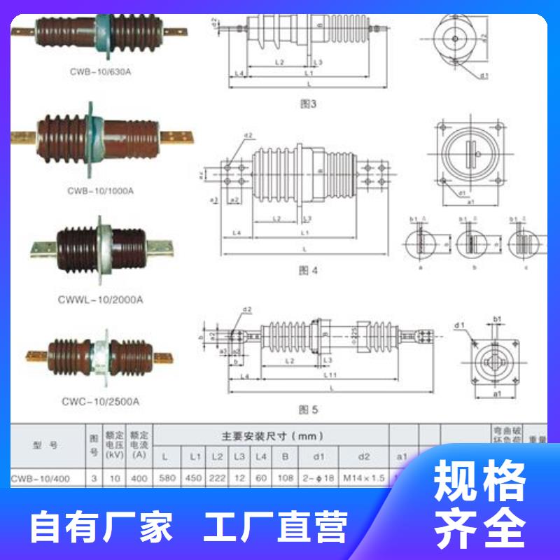 FCRG-40.5/2500A复合套管樊高