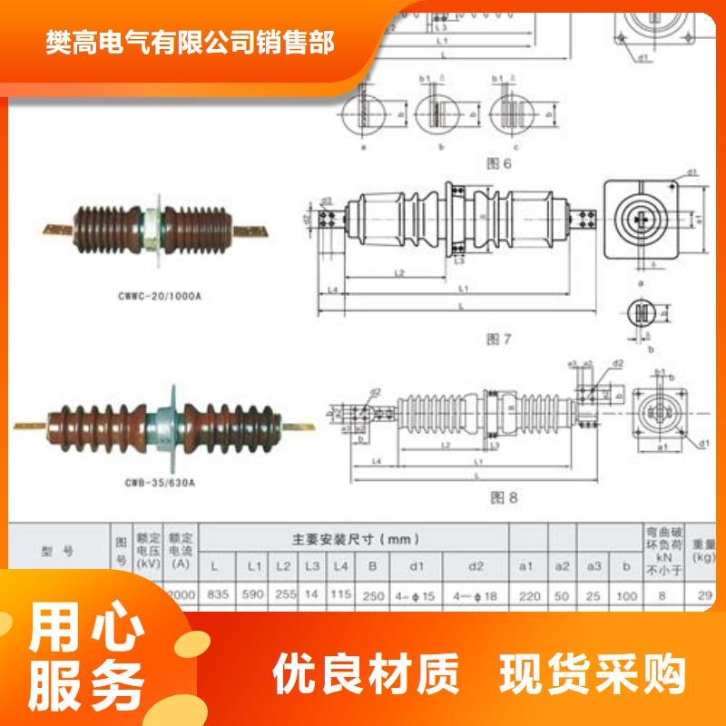 FCRG-24/1000A高压穿墙套管