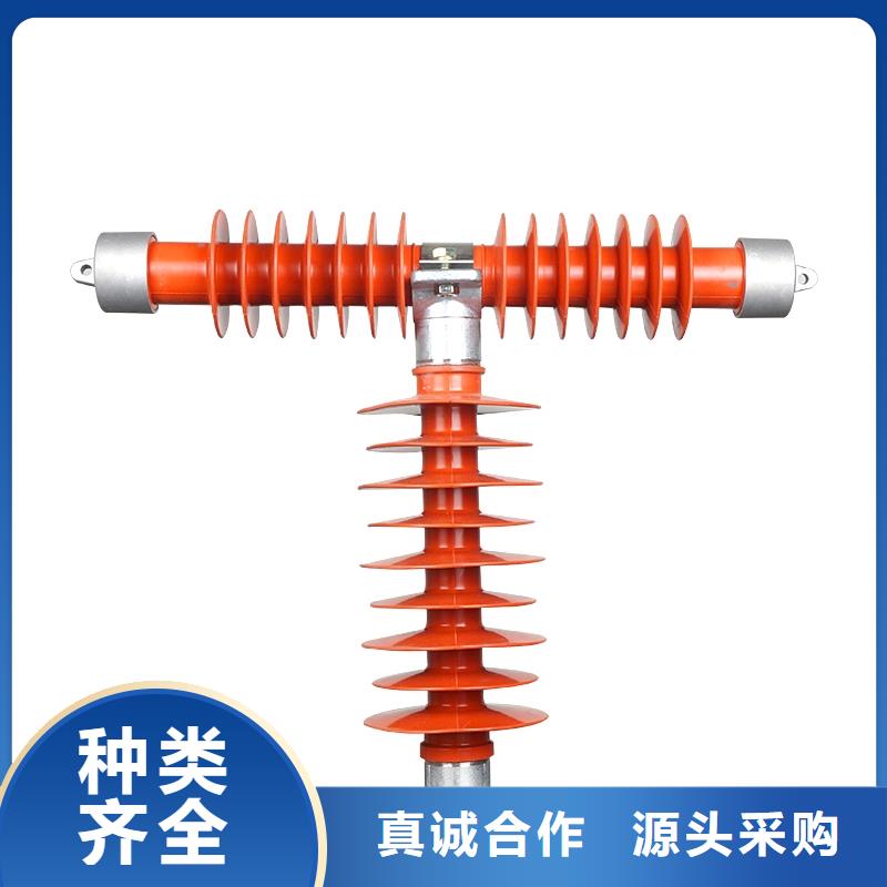 RW3-10/100A跌落保险樊高