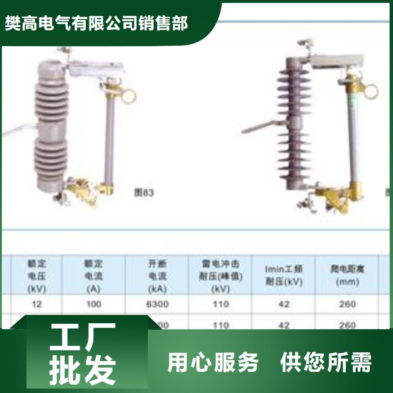 PD4-33/100A跌落式熔断器樊高