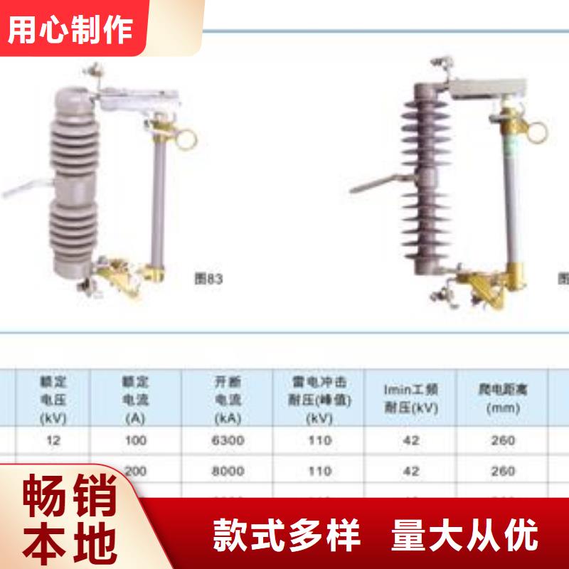 XRNP-10/2A高压熔管说明