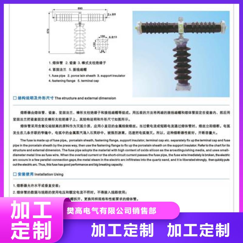 RW10-10/200A跌落保险