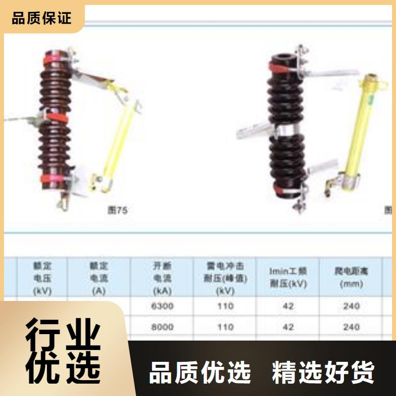 XRNM-6/250A限流熔断器性能